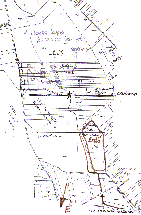 image19.gif (70785 bytes)